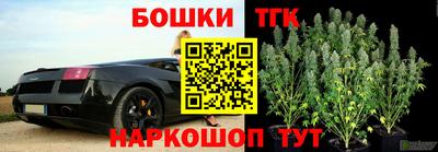 Альфа ПВП Заводоуковск