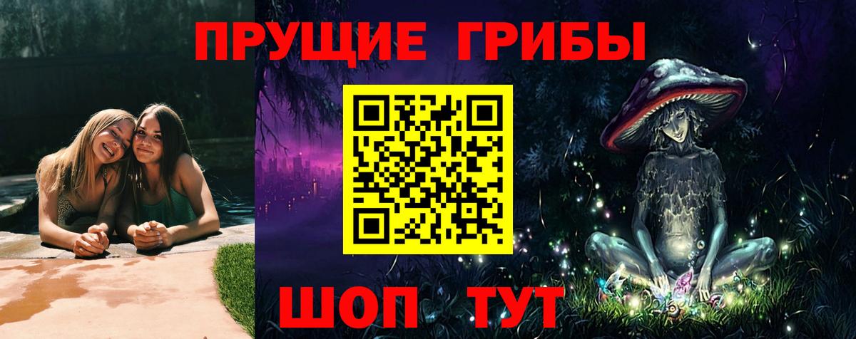 Псилоцибиновые грибы Magic Shrooms  Псилоцибиновые грибы GOLDEN TEACHER  Малгобек  Вход с VPN 